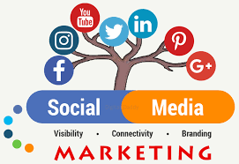 Best Digital Marketing Services In Agra